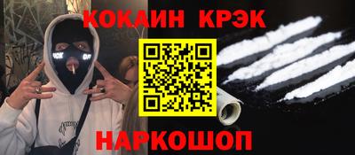крисы Кингисепп