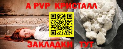 крисы Кингисепп