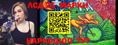 крисы Кингисепп