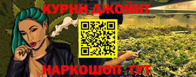 крисы Кингисепп