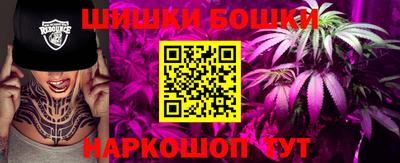крисы Кингисепп