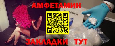 крисы Кингисепп