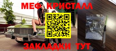 крисы Кингисепп